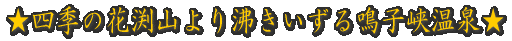���l�G�̉ԟ��R��蕦��������q������